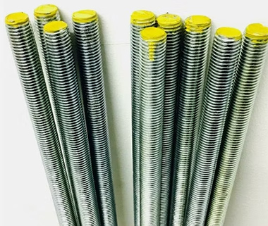 Negozio Immagine primaria