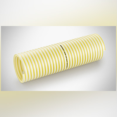 Negozio Immagine primaria